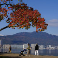 3958-3.jpg