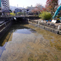 3959-1.jpg