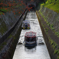 3960-3.jpg