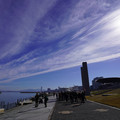 3961-1.jpg