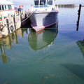 3961-2.jpg