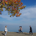 3962-2.jpg