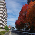 3962-3.jpg