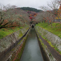 3963-1.jpg