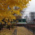 3963-2.jpg