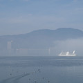 3965-3.jpg