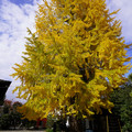 3966-2.jpg