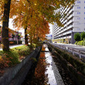 3967-2.jpg