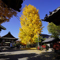 3968-3.jpg