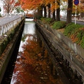 3969-2.jpg