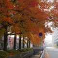 3970-3.jpg