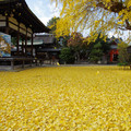 3971-1.jpg
