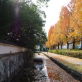 3971-2.jpg