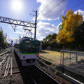 3973-1.jpg