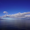 3977-1.jpg