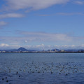 3977-3.jpg