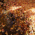 3978-2.jpg