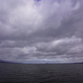 3980-1.jpg