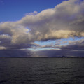 3980-2.jpg
