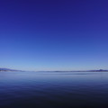 3981-1.jpg