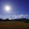 3981-3.jpg