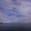 3988-1.jpg