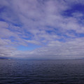 3988-2.jpg