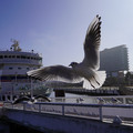 3997-2.jpg