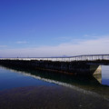 4006-1.jpg