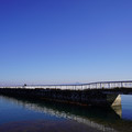 4009-2.jpg