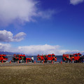 4010-1.jpg
