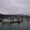 4025-2.jpg