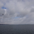 4030-3.jpg