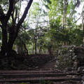 4035-1.jpg