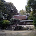 4035-2.jpg
