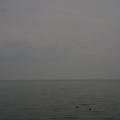 4036-2.jpg