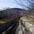 4051-3.jpg
