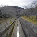4058-2.jpg