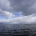 4062-1.jpg