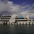 4065-2.jpg