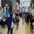 4065-3.jpg