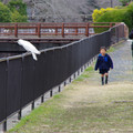 4071-2.jpg