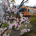 4071-3.jpg