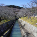 4072-3.jpg