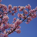 4080-2.jpg