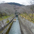 4081-1.jpg