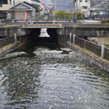 4081-2.jpg