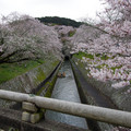 4090-1.jpg