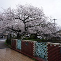 4090-2.jpg