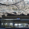 4092-2.jpg